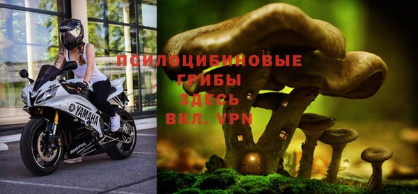 a pvp Карпинск