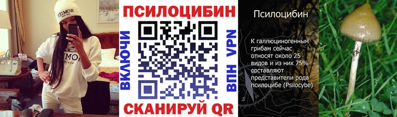 Псилоцибиновые грибы Psilocybe  Купить  Заринск 